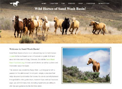 Sand Wash Basin Wild Horses